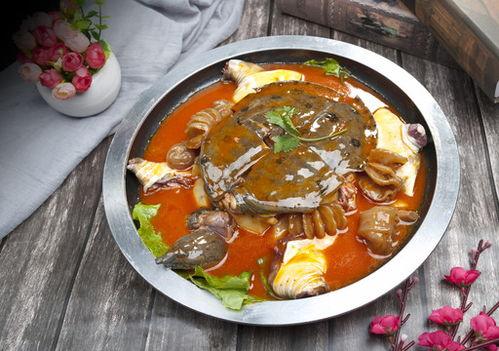 麻辣甲鱼爆料视频大全